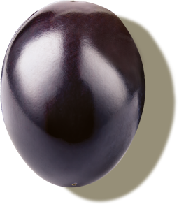 Globerri black grape