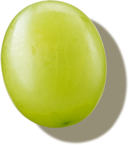 Globerri green grape